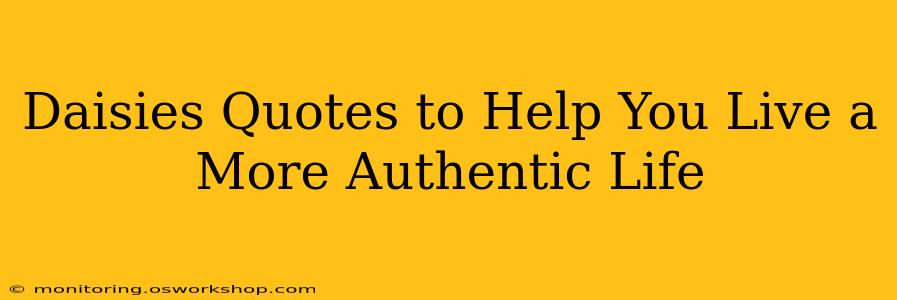 Daisies Quotes to Help You Live a More Authentic Life