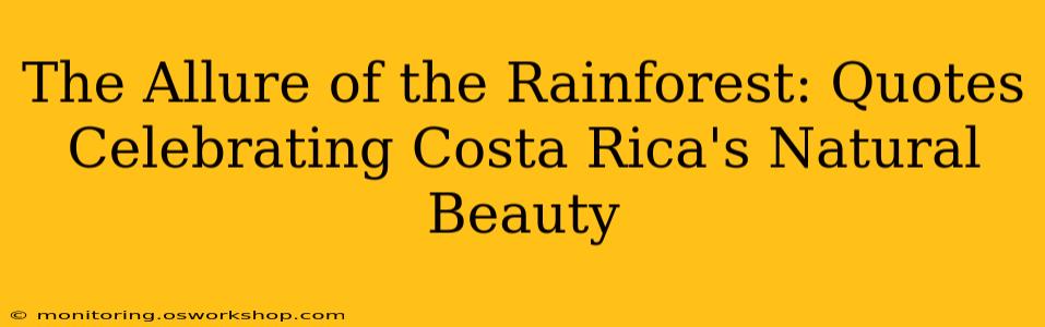 The Allure of the Rainforest: Quotes Celebrating Costa Rica's Natural Beauty