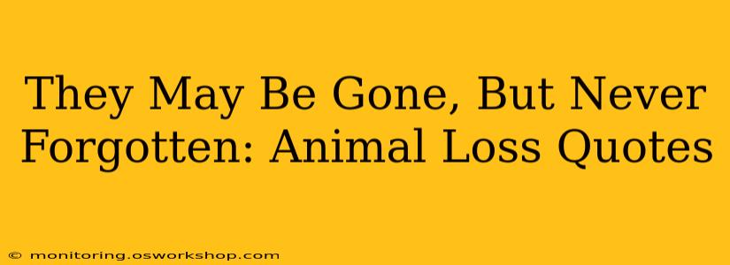 They May Be Gone, But Never Forgotten: Animal Loss Quotes